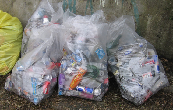 Saintfield Litter Pick April 27th 2013