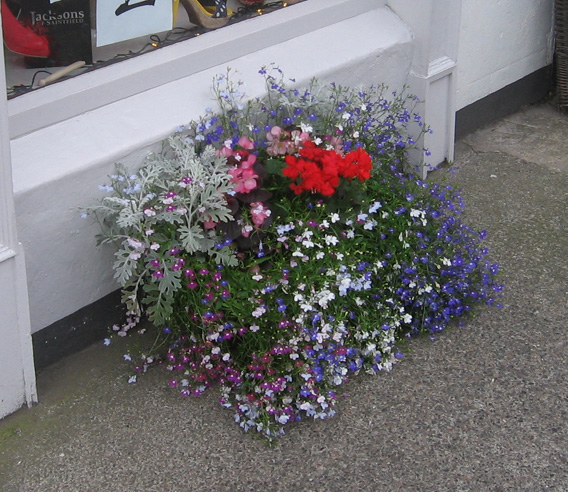 Saintfield In Bloom