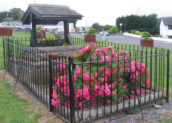 Saintfield In Bloom