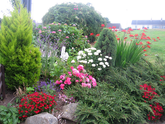 Saintfield In Bloom