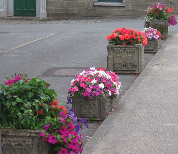 Saintfield In Bloom