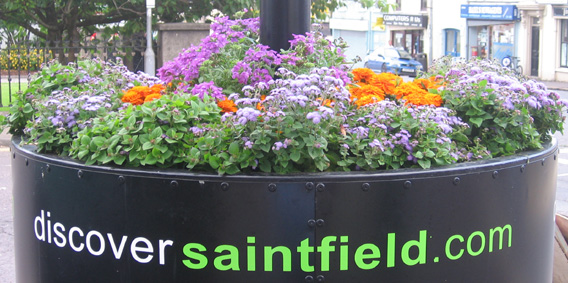 Saintfield In Bloom