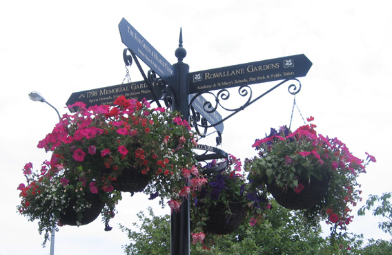 Saintfield In Bloom