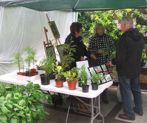 Saintfield Summer Fair 2014