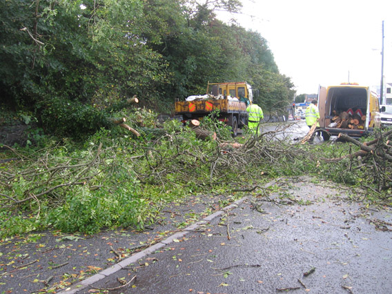 Storm Damage - 06/10/14