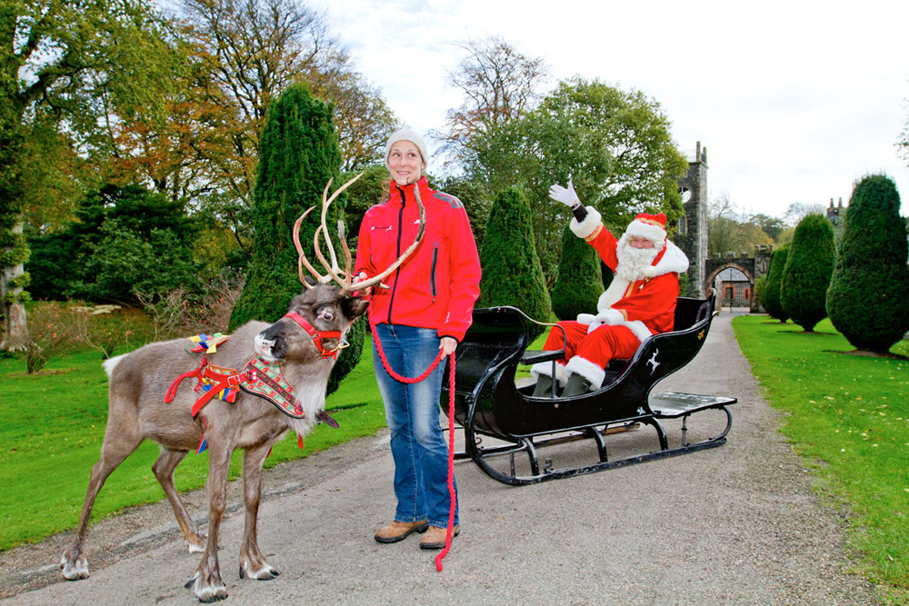 Get In The Yuletide Spirit With Rowallane Garden