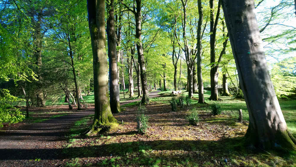 National Trust Rowallane in springtime.