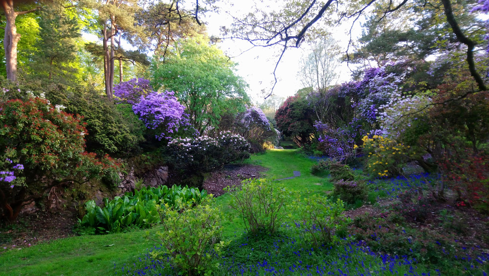 National Trust Rowallane in springtime.