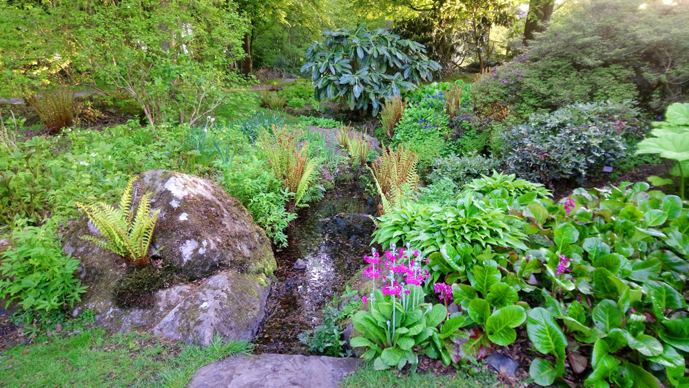 National Trust Rowallane in springtime.