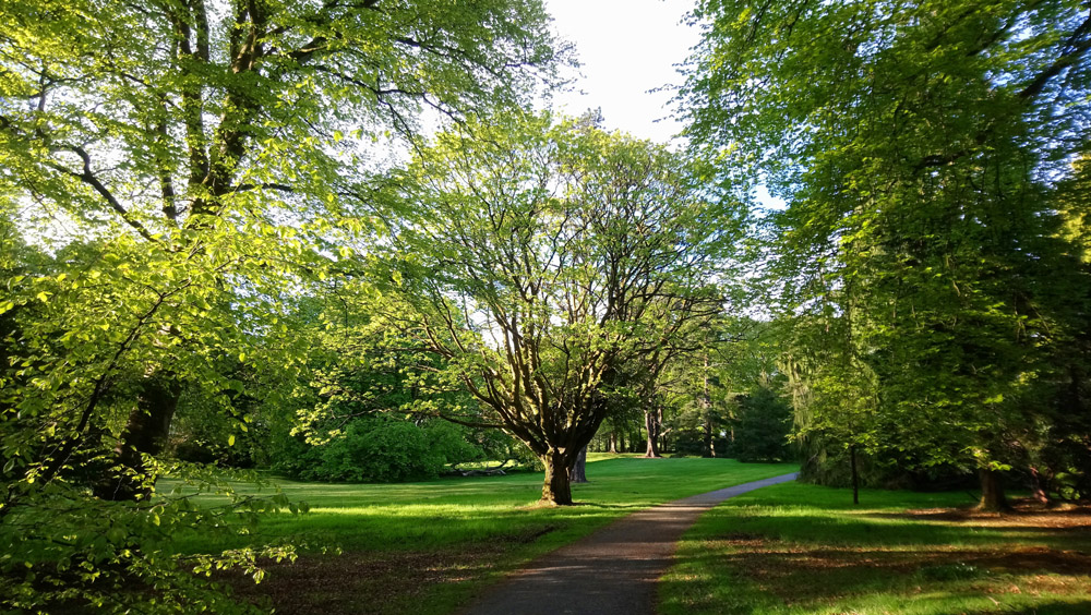 National Trust Rowallane in springtime.