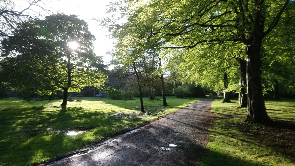 National Trust Rowallane in springtime.