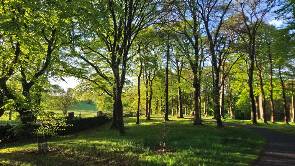 National Trust Rowallane in springtime.