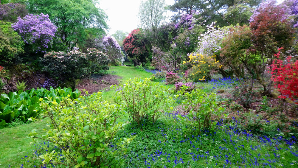 National Trust Rowallane in springtime.