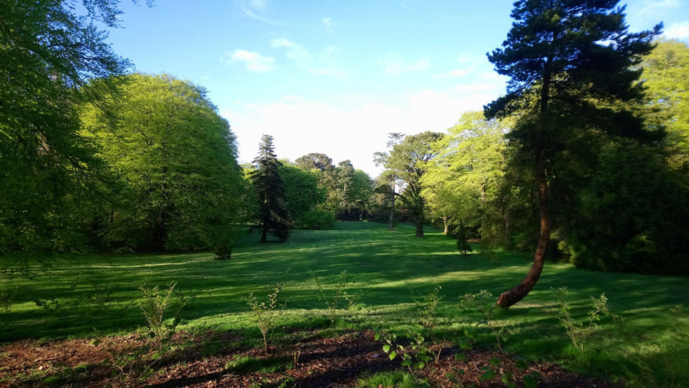 National Trust Rowallane in springtime.