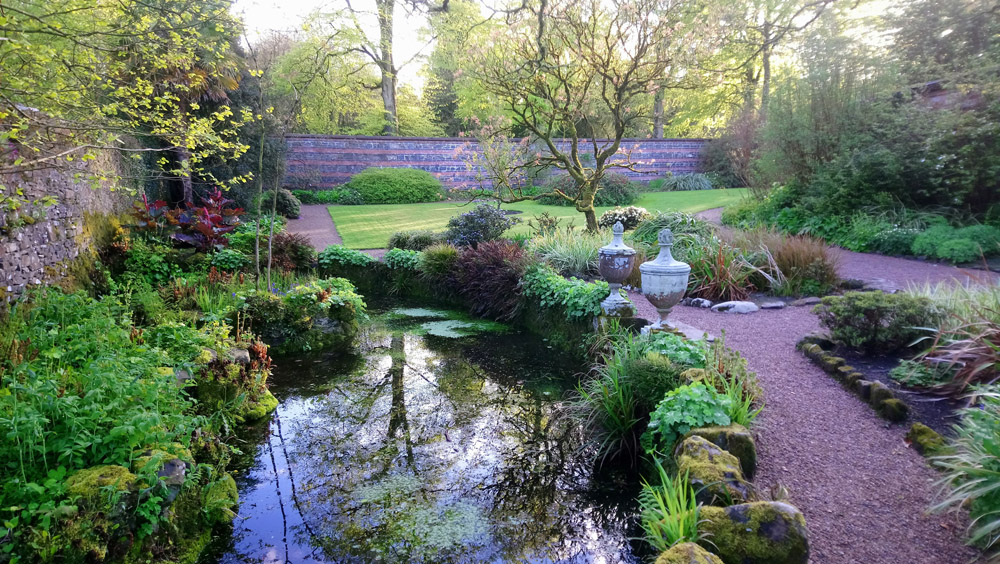 National Trust Rowallane in springtime.