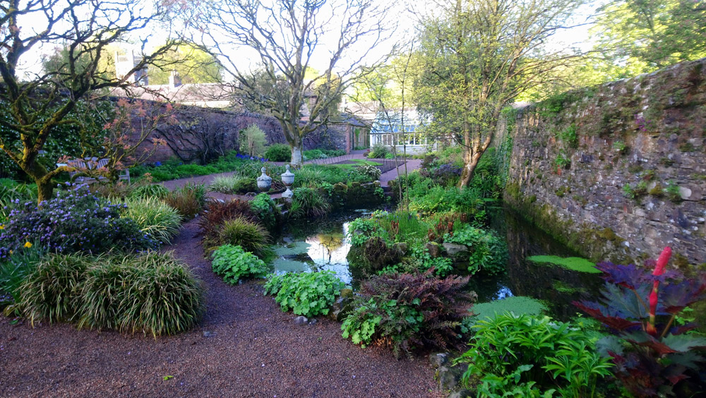 National Trust Rowallane in springtime.