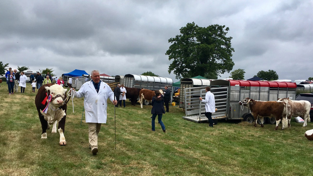 Saintfield Show 2018