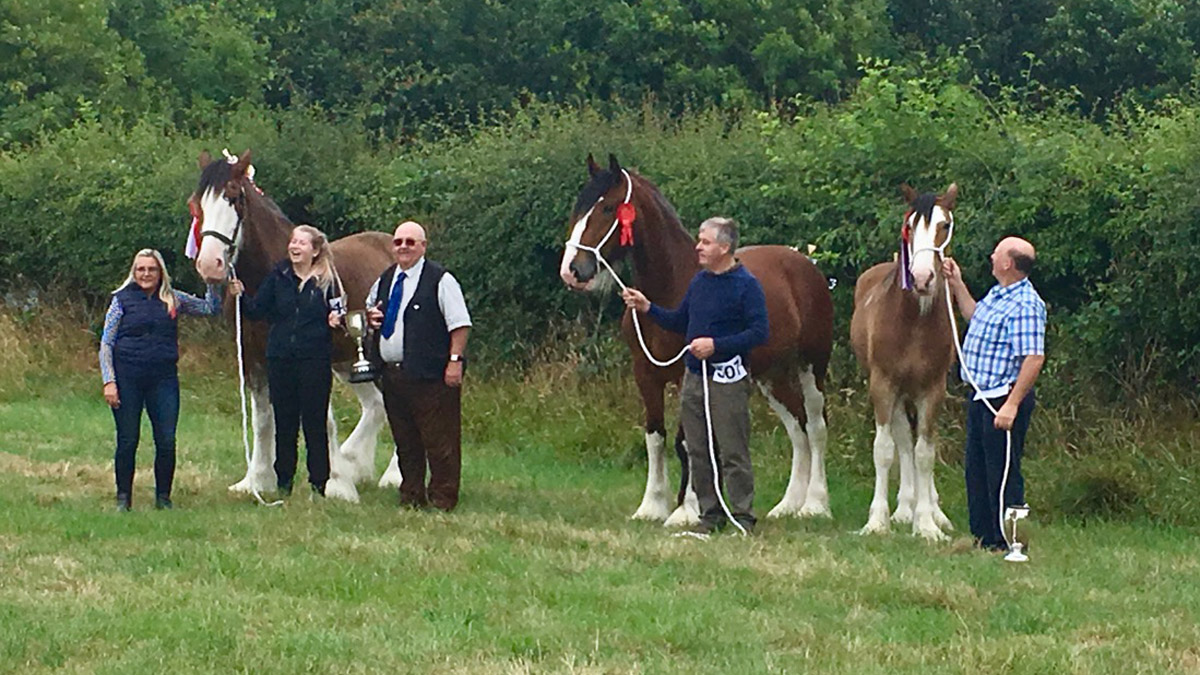 Saintfield Show 2018