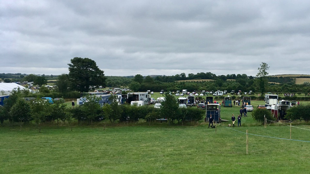 Saintfield Show 2018