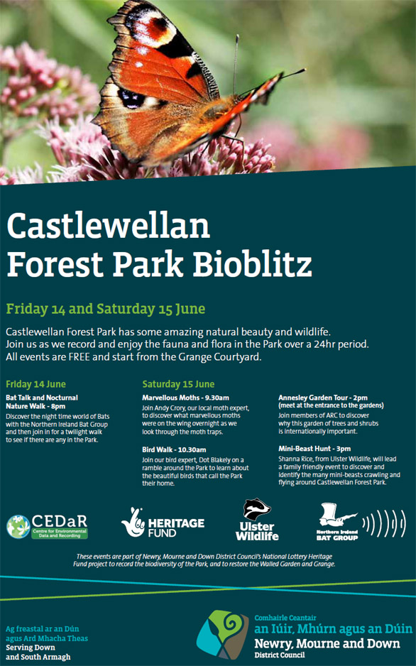 Flyer for Bioblitz at Castlewellan Forest Park